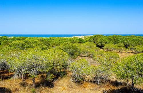 Apartamento Luxury Pinada Beach