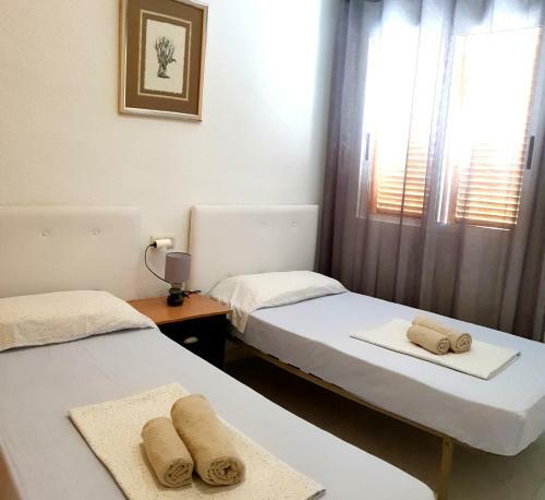 Avenu Belgica Apartment