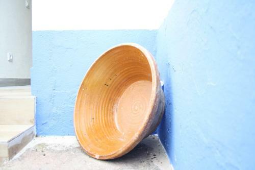 Apartamentos La Ca�ada Birding