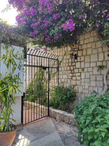 Apartamento Bungalow Torre de La Roca