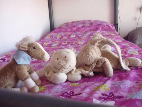 Apartamento Liria