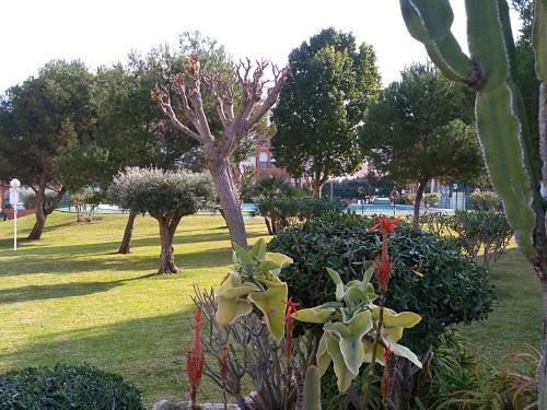 Apartamento Liria