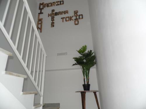 Apartamentos San Miguel