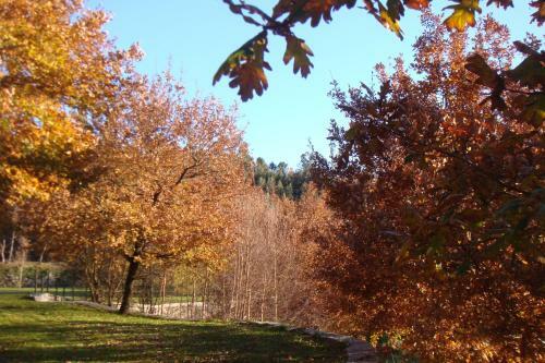 Apartamento Cazal Da Lamella