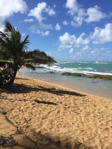 Hostal Coqui Del Mar