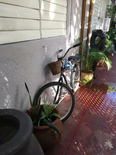 Hostal Coqui Del Mar