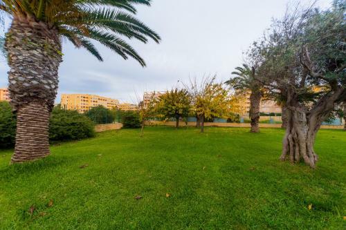 Apartamento Alegria Id100