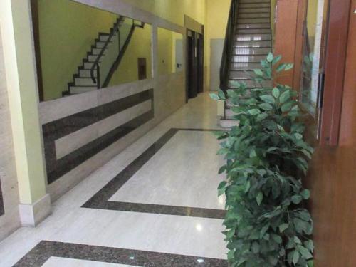 Apartamento Owner Solidarity - Reduction Of Prices - 2