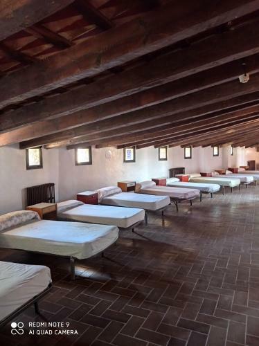 Alberg Enric D'oss�