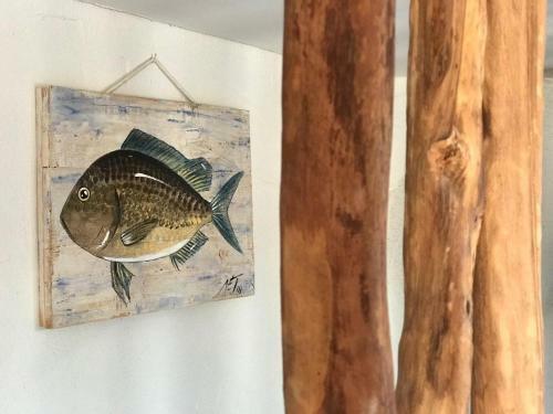 Villa Lets Holidays Charming Fisherman House With Terrace