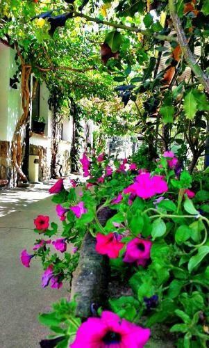 Hostal Entrerrobles