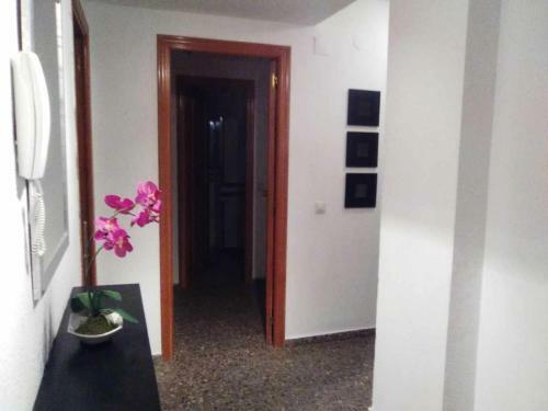 Apartamento Torres de San Antonio