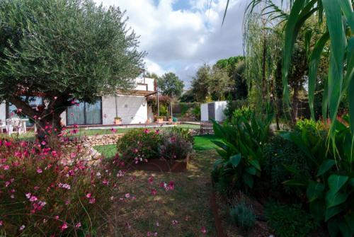 Vallcanera Villa Sleeps 8 Pool Wifi