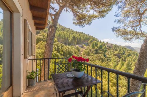 Valldemossa - 265998