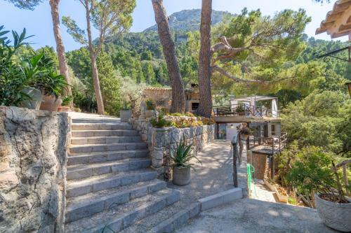 Valldemossa - 265998