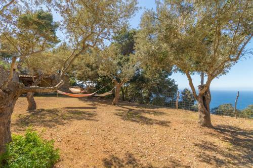 Valldemossa - 281388