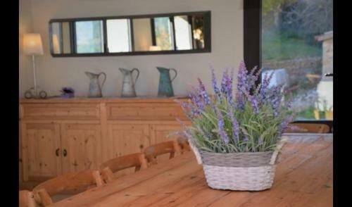 Vallcebre Villa Sleeps 22 With Pool