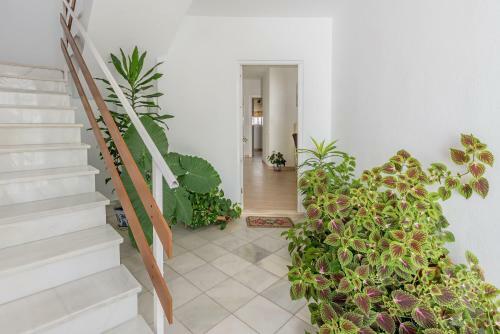 Apartamento Casa Los Naranjos En Vejer