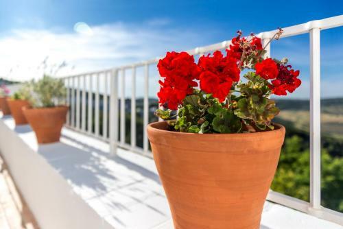 Hotel Casa Encalada Vejer