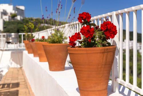Hotel Casa Encalada Vejer