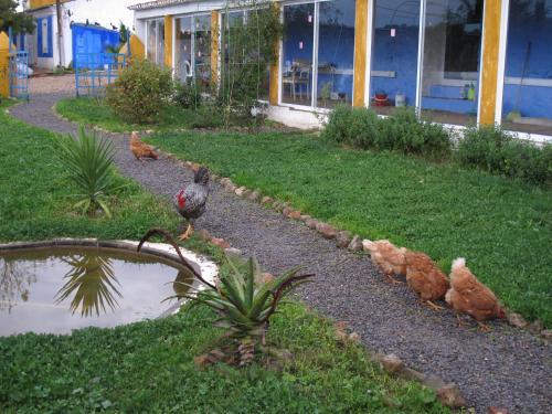 Hostal Quinta Da Fornalha
