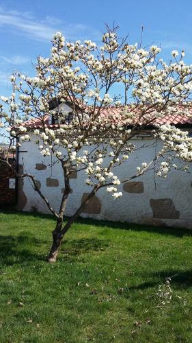 Hostal Casa Da Quinta De S. Martinho