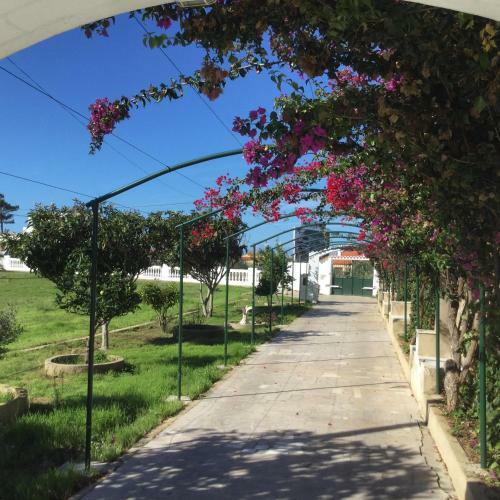 Casas De Ferias Sagres