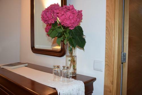 Hostal Quinta Da Boa Ventura