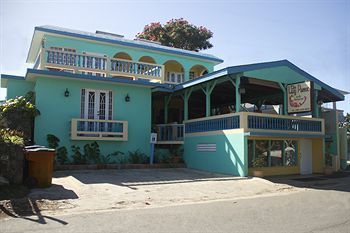 Hotel Lazy Parrot Inn