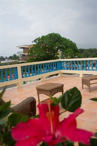 Hotel Lazy Parrot Inn