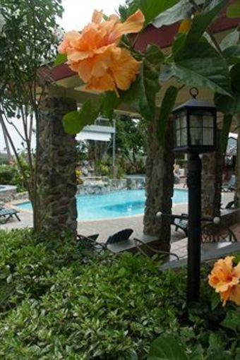 Hotel Lazy Parrot Inn