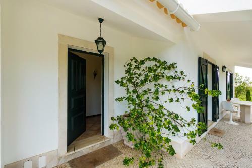 Villa Quinta Do Vento By Be@home