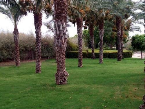 Dreamy Apartment In Vera With Terrace