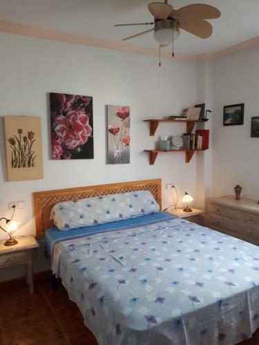 Apartment Puerto Rey