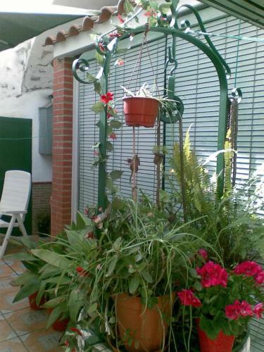 Agroturismo Casa Perin - Hostal Rural