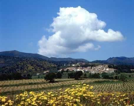 Casa Rural Alquiler �ntegro Cal Sisco Para 15 Personas