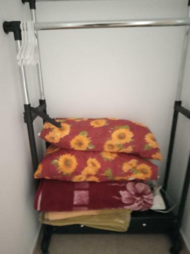 Apartamento Casa Altavista
