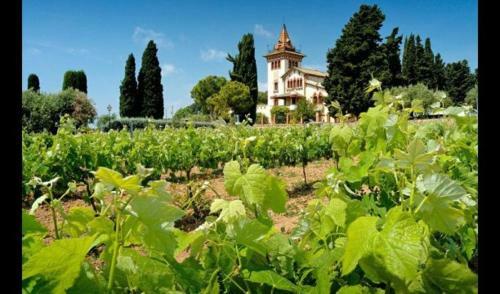 Villa In Vilaplana Sleeps 8 With Pool