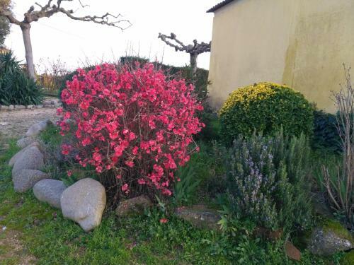 Casa Rural "can Abres" Vilobi D`onyar Girona