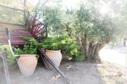 Hostal Holidays Mirana