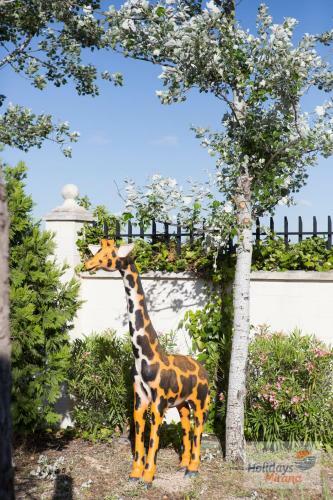 Hostal Holidays Mirana