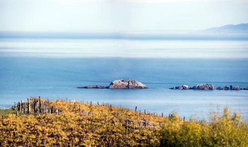 Apartamento Aterian. Pilartxo Enea