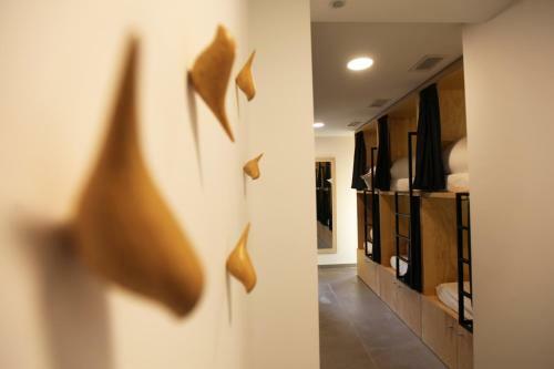 The Botanic Hostel