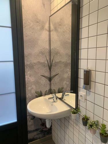 The Botanic Hostel