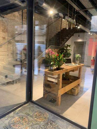 The Botanic Hostel