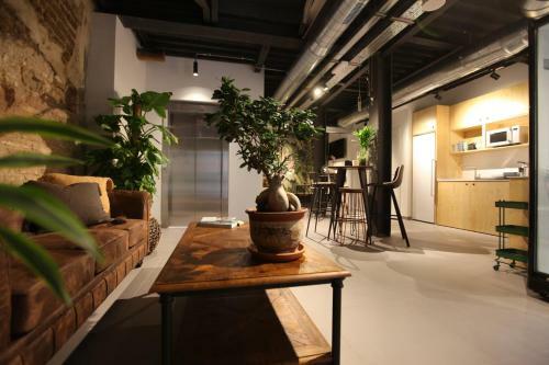 The Botanic Hostel