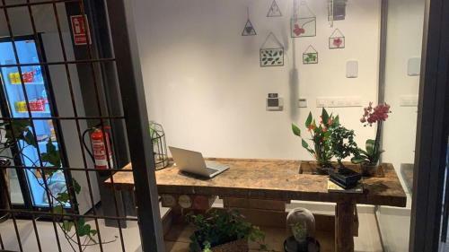 The Botanic Hostel
