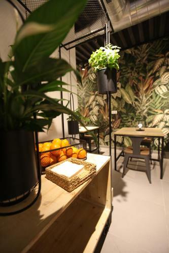 The Botanic Hostel