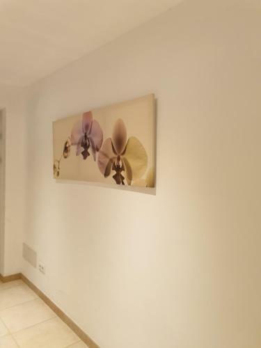 Hostal Maracaibo