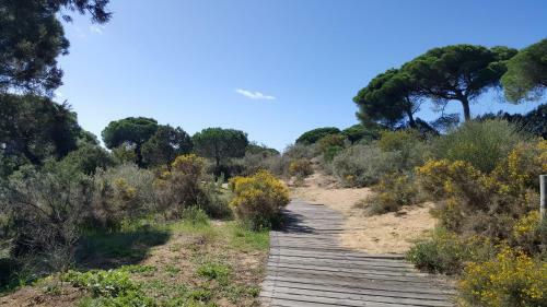 Apartamento Playa Y Naturaleza